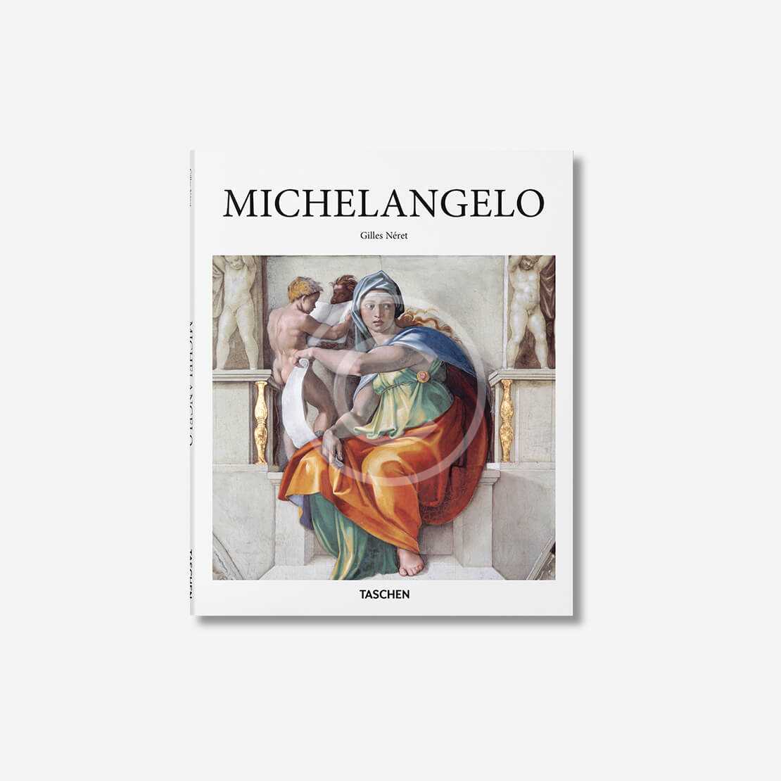 biography of michelangelo book